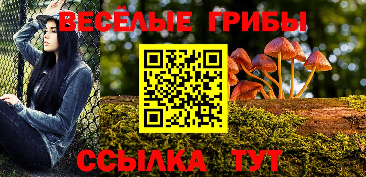 Белорецк  Галлюциногенные грибы мухоморы  Вход с VPN 