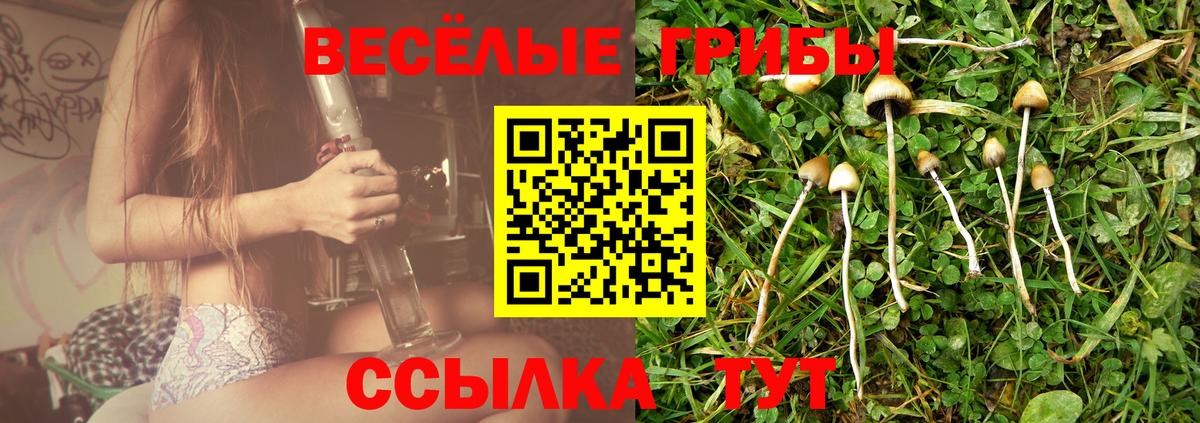 Галлюциногенные грибы MAGIC MUSHROOMS Белорецк